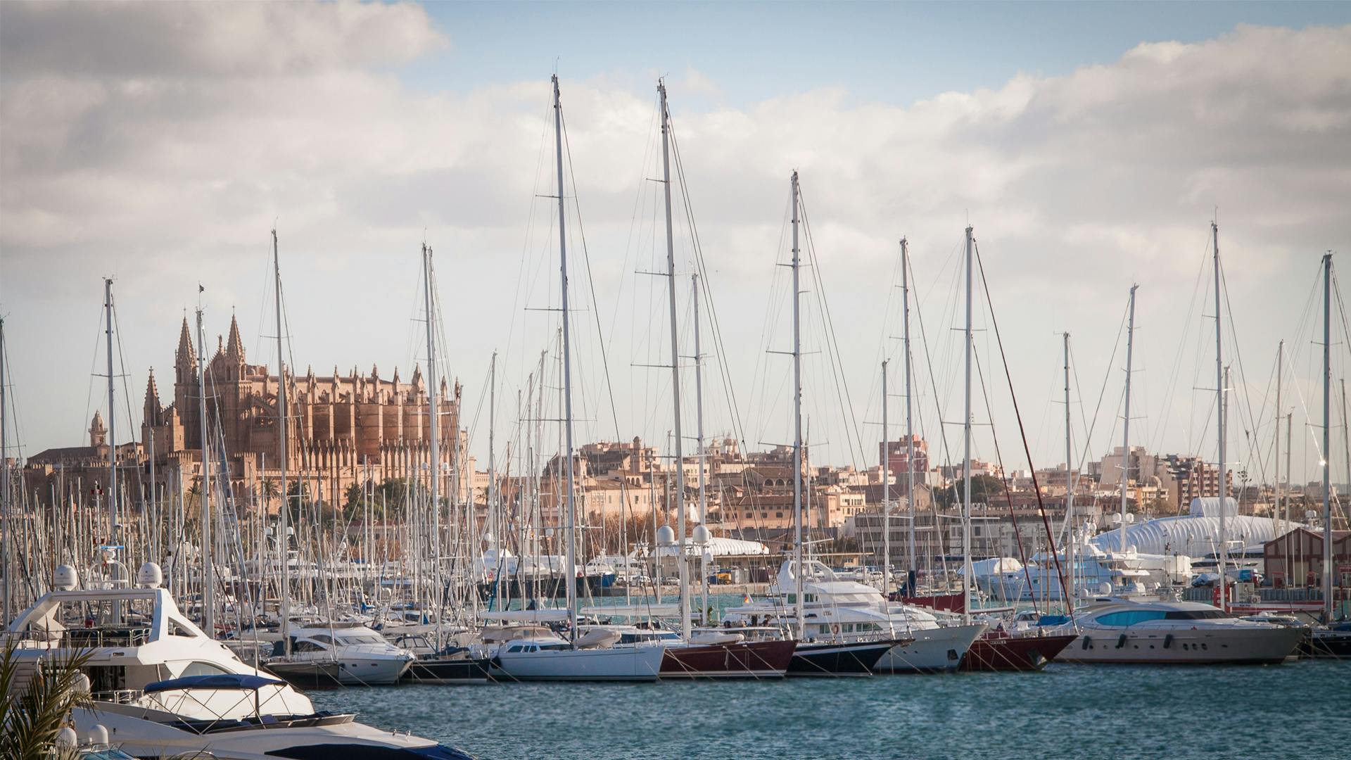 Port of Palma with many yachts with English marine insurance in Mallorca.