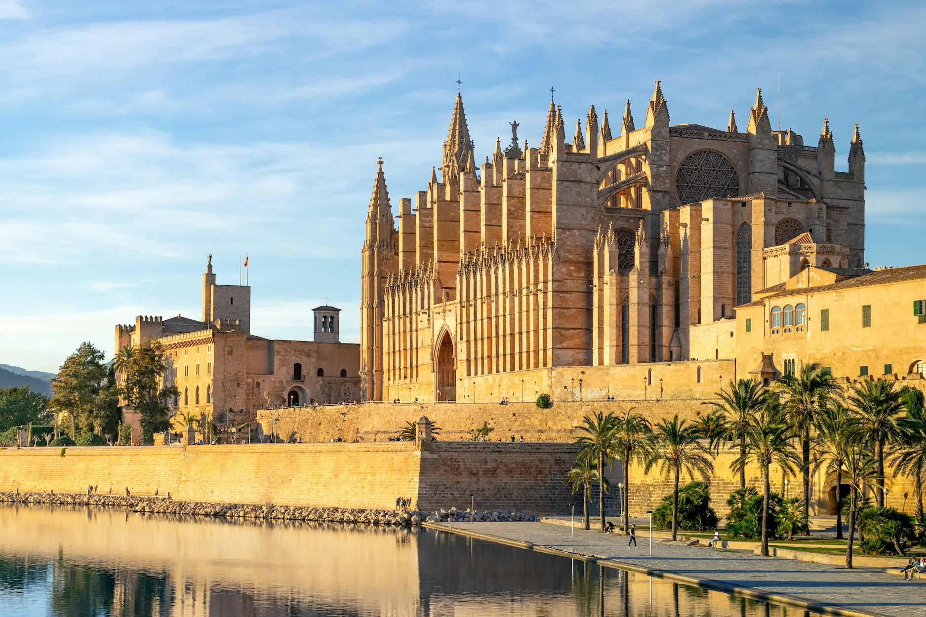 Panoramic view of the Palma de Mallorca Cathedral, used as a guide for expats seeking an English insurance broker in Mallorca.